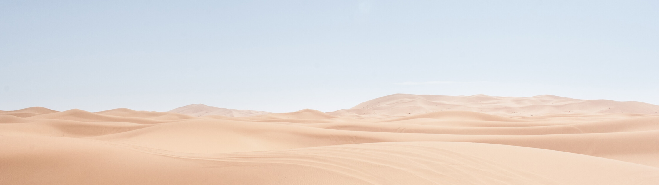 landscape 01.jpg